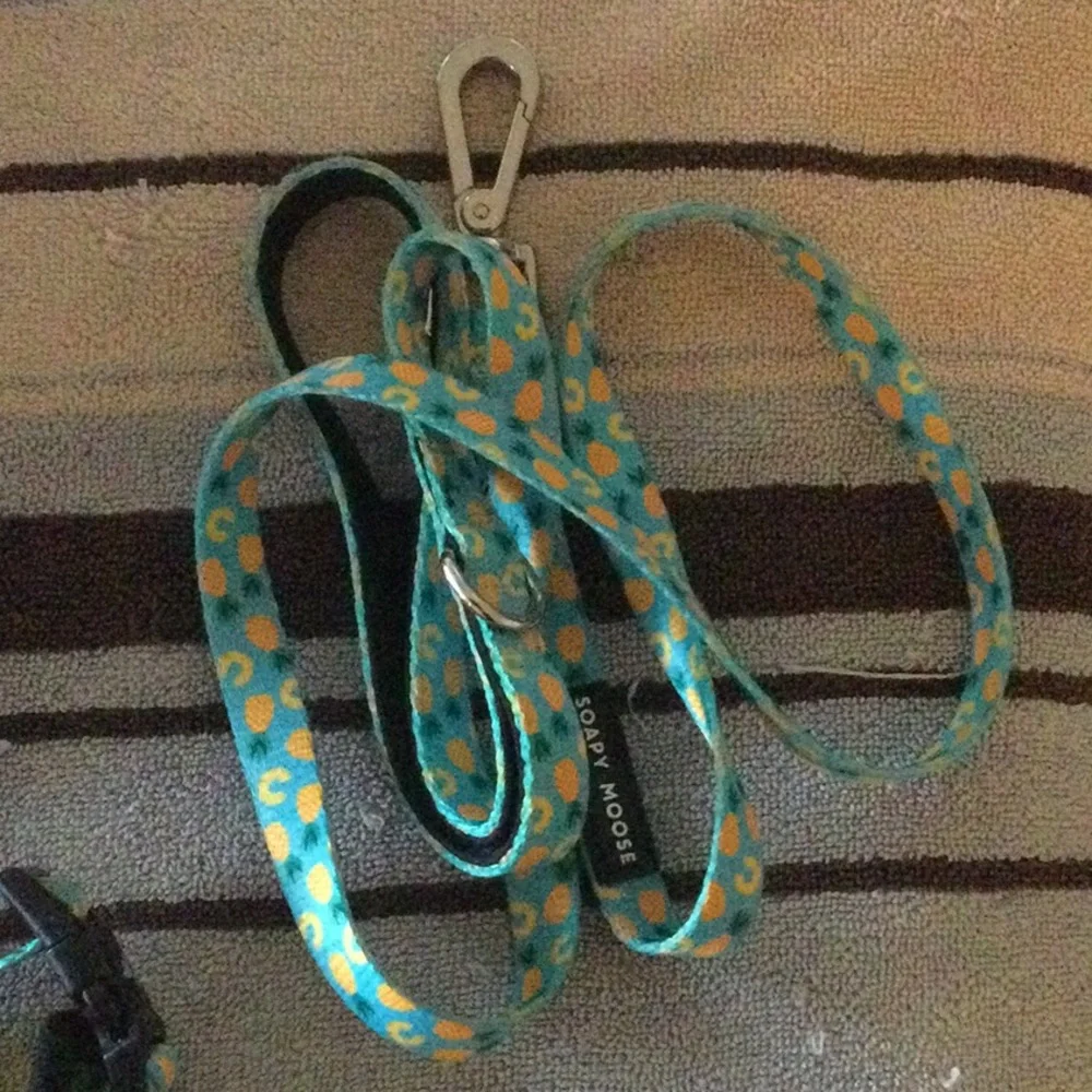 Soapy Moose harness and leash for cat or small dog, EEEEEUC